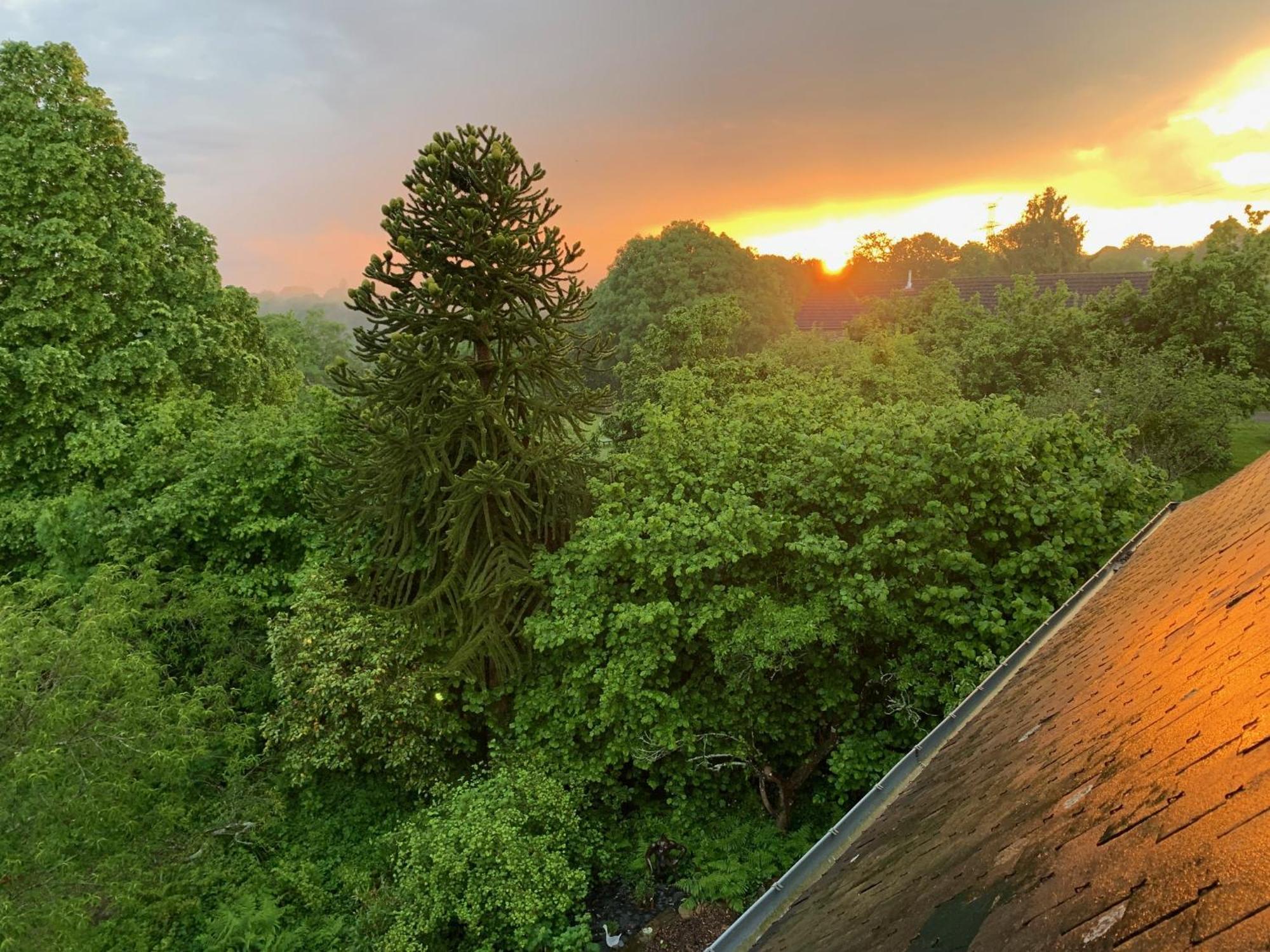 Le Petit Manoir Bed & Breakfast Isigny-le-Buat Bagian luar foto