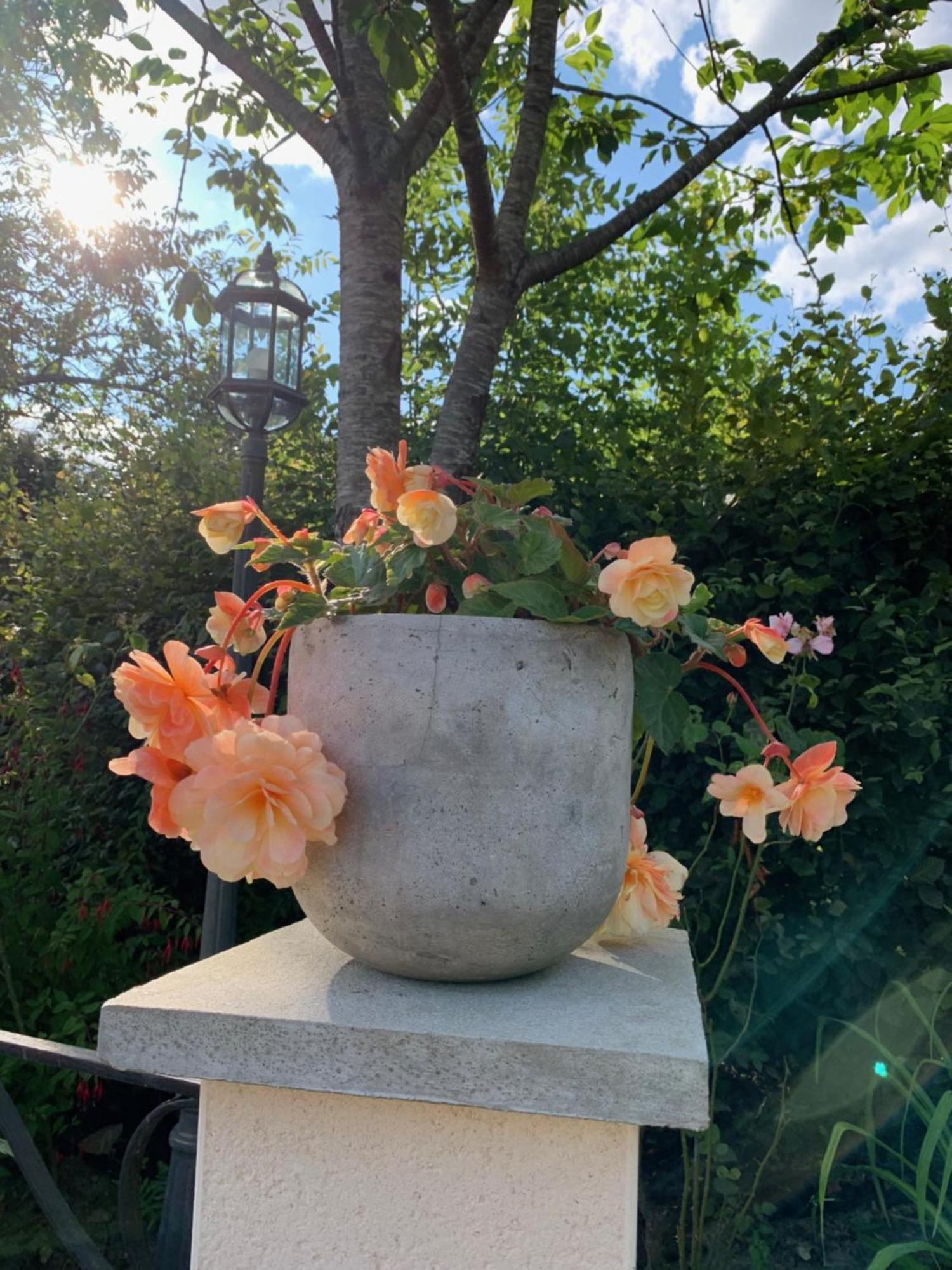 Le Petit Manoir Bed & Breakfast Isigny-le-Buat Bagian luar foto